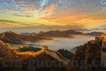 91麻豆福利视频-巅峰体验，探秘网络潮流中的91麻豆福利视频