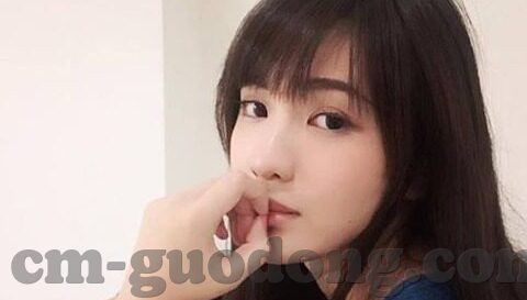 大象传媒链接-探索大象传媒链接，连接创意与传播的桥梁