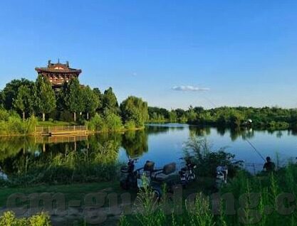 高清一区二区三区-探索高清一区二区三区的无限魅力，从技术革新到内容体验的深度剖析