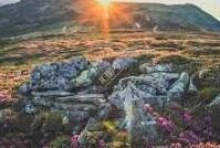 果冻传媒麻豆之女老板-探寻果冻传媒与麻豆之女，女性力量的崛起