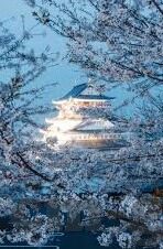 家庭教师伦理-家庭教师伦理，塑造未来之基的道德灯塔
