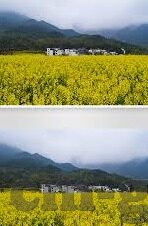 久久久精品国产亚洲av麻豆-