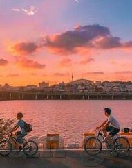 麻豆剧情果冻传媒-麻豆剧情与果冻传媒，网络文化新视角下的内容创作与影响