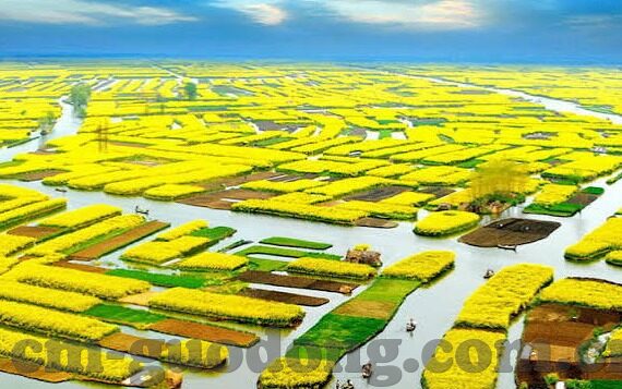 麻豆视传媒短视频网站 -入口-深入了解麻豆视传媒短视频网站——娱乐与创意的视觉盛宴