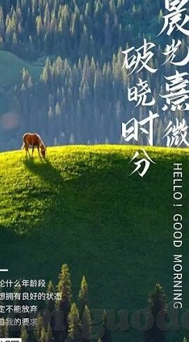 糖心社区app-糖心社区app，在数字世界中探索的温暖角落