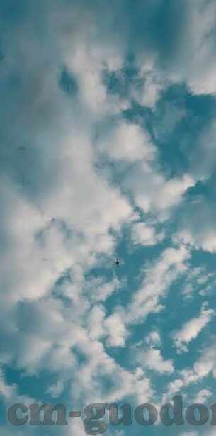 糖心txvlog导航入口-探寻网络世界的多元色彩——糖心txvlog导航入口的奇妙之旅