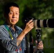 vlog糖心官网版app下-玩转数字生活，Vlog糖心官网版APP的一站式潮流体验