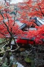 亚洲国产综合91麻豆-窥探多元文化，从江湖到高原的亚洲影视艺术缩影