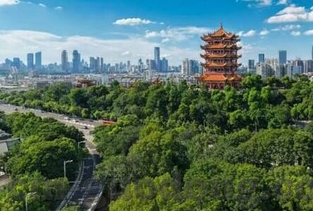 在线播放无码av含麻豆-细致观影，解锁无码av的多样体验及其对现代在线播放模式的影响