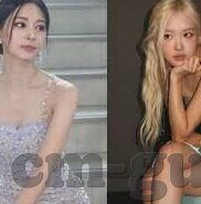 最新伦理电影2018不卡-最新伦理电影2018不卡，人性深度的细腻刻画