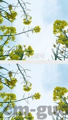 最新麻豆且与果冻传媒在线播放-探索最新麻豆与果冻传媒的在线播放体验，一场视觉与感官的盛宴
